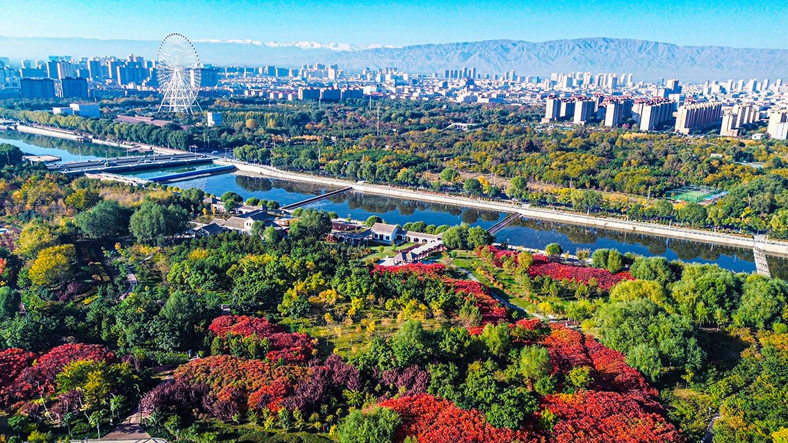 1786667518671178.jpg 3-压题照.jpg