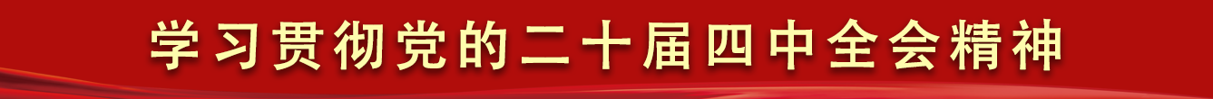 学习贯彻党的二十届四中全会精神